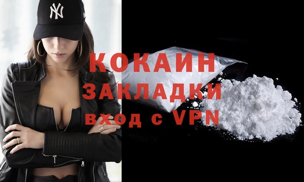 ГАЛЛЮЦИНОГЕННЫЕ ГРИБЫ Абаза