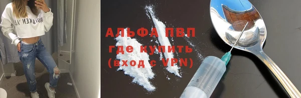 ГАЛЛЮЦИНОГЕННЫЕ ГРИБЫ Абаза