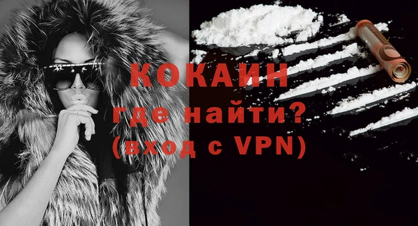 ГАЛЛЮЦИНОГЕННЫЕ ГРИБЫ Абаза