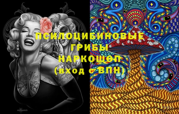 ГАЛЛЮЦИНОГЕННЫЕ ГРИБЫ Абаза