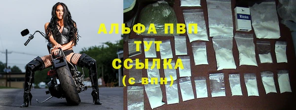 ГАЛЛЮЦИНОГЕННЫЕ ГРИБЫ Абаза