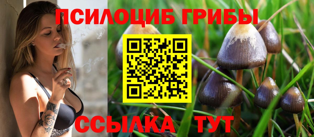 Галлюциногенные грибы Psilocybine cubensis Стерлитамак