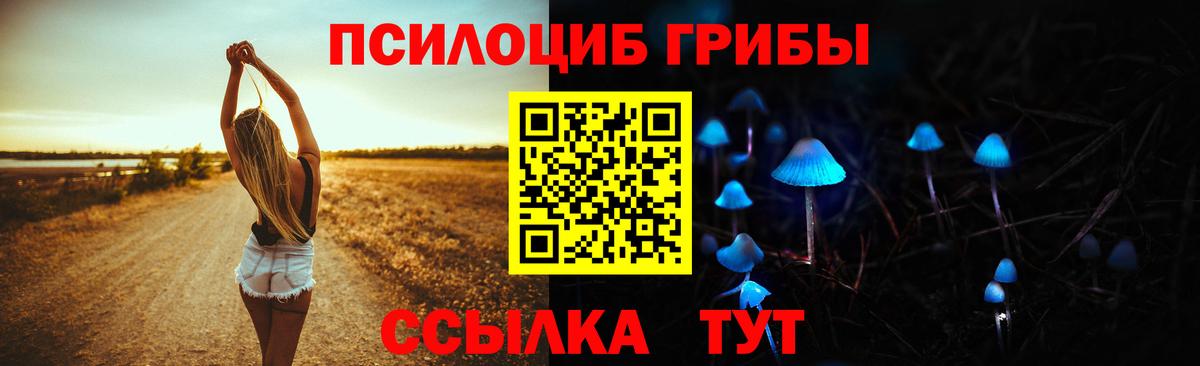 цены   Вход с VPN  Стерлитамак  Псилоцибиновые грибы Cubensis 